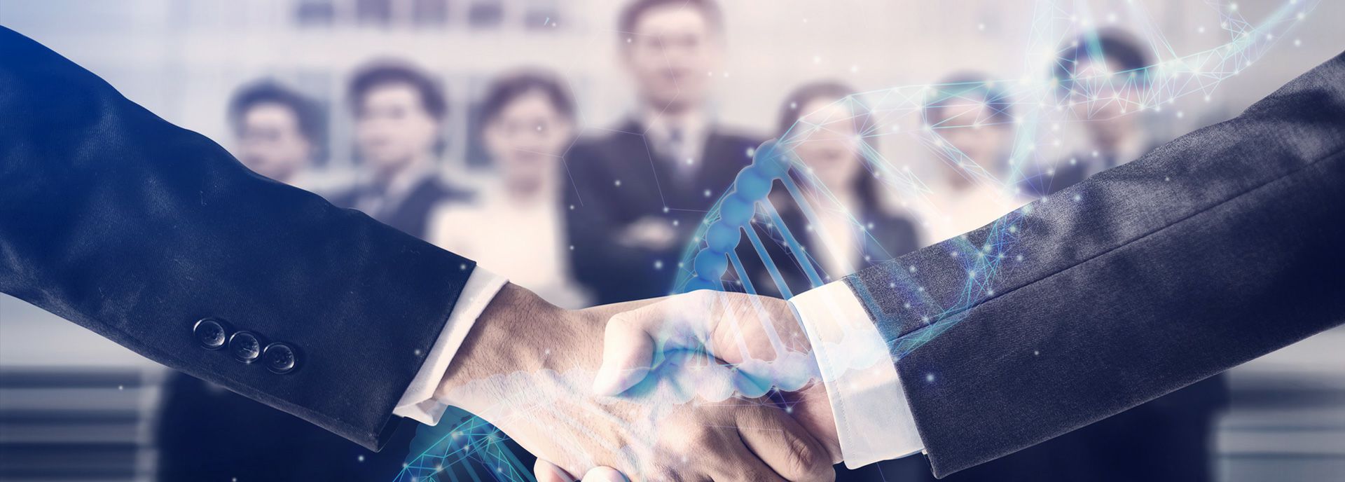 开云网页版·网站在线登入-开云(中国)